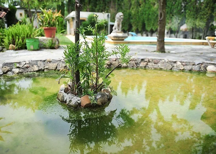 卡萨达诺拉酒店 莱里亚